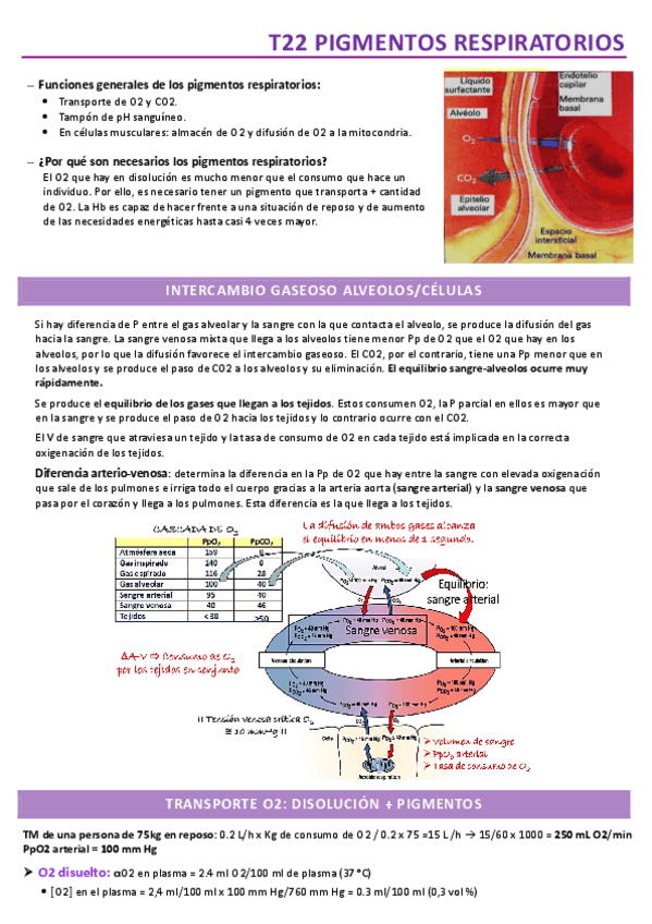 Miniatura del documento TEMA-22.pdf
