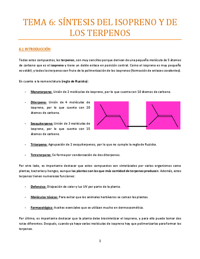 Miniatura del documento Tema-6-bueno.pdf