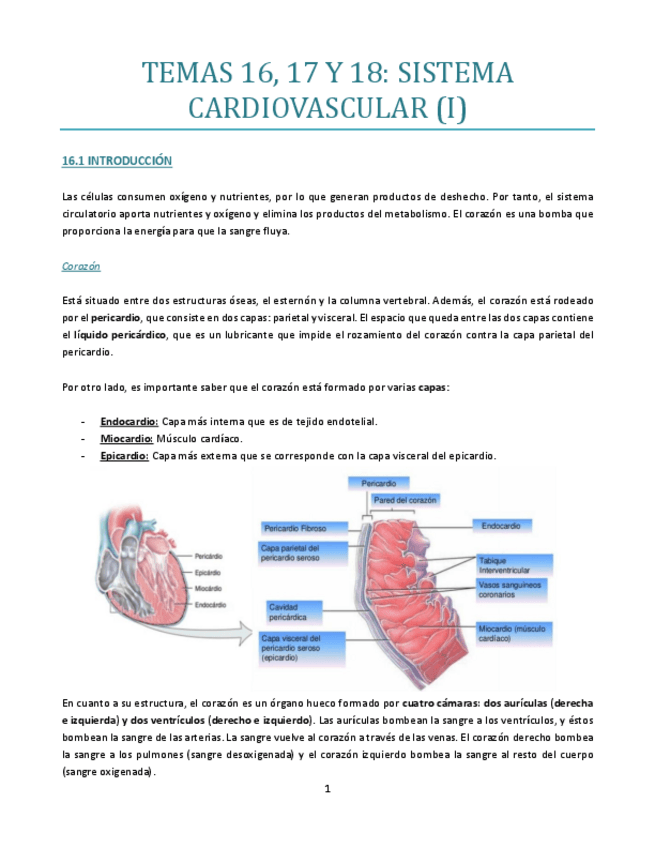 Miniatura del documento TEMA-16-bueno.pdf