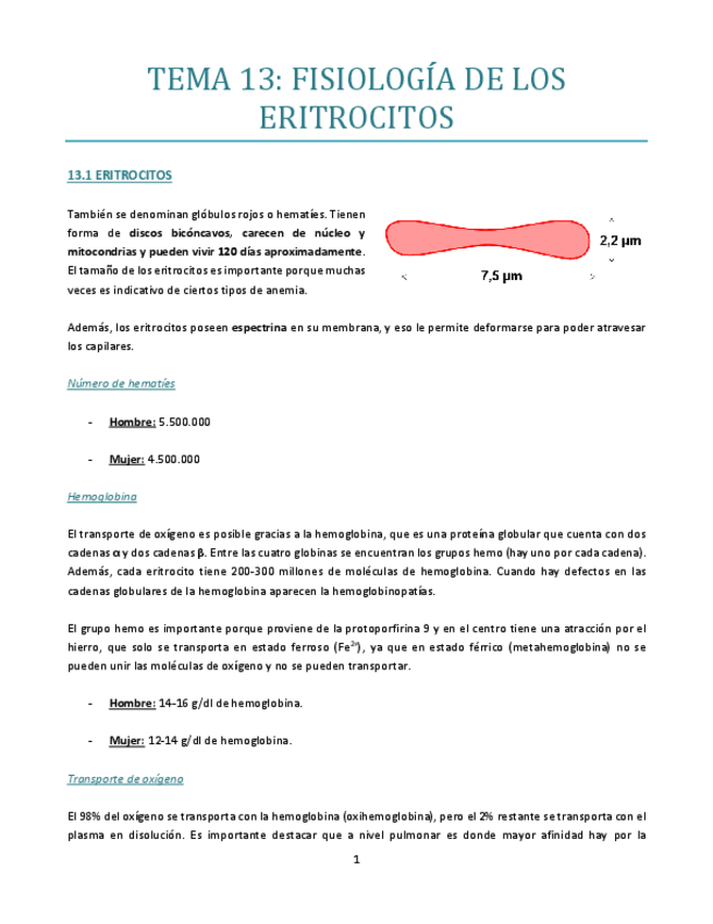 Miniatura del documento TEMA-13-bueno.pdf