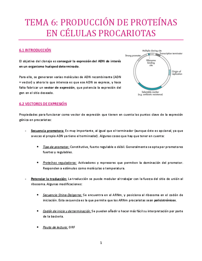 Miniatura del documento TEMA-6-bueno.pdf