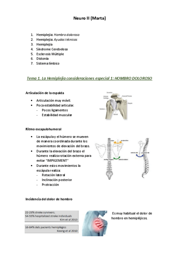 Miniatura del documento MARTA-SNC-FINAL-Anna.pdf