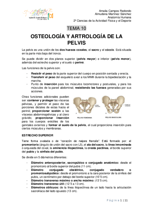 Miniatura del documento Tema-10.pdf