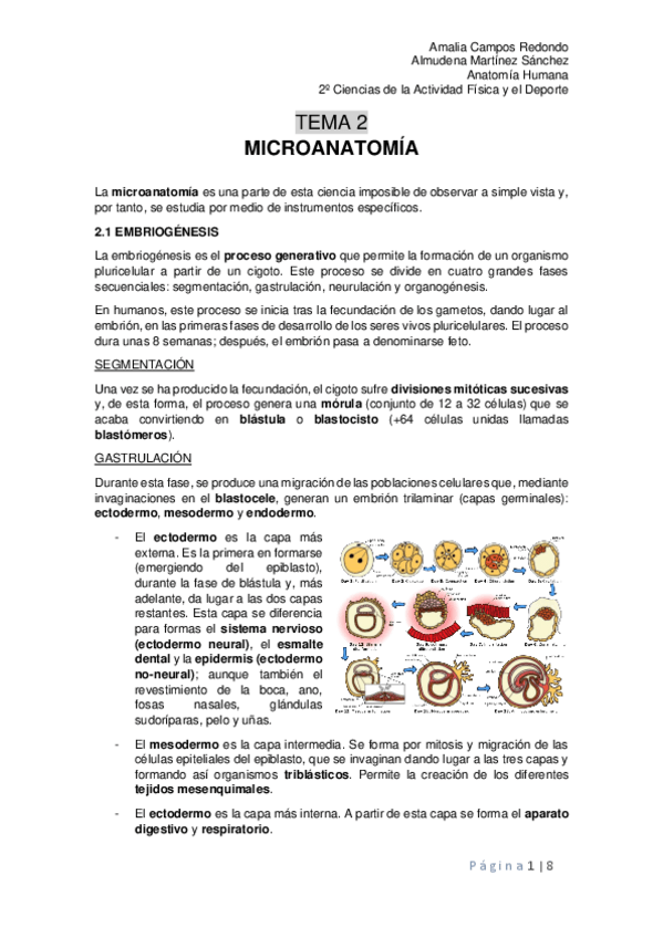 Miniatura del documento Tema-2.pdf