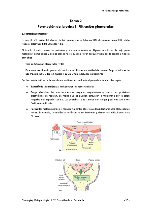 Miniatura del documento Tema-2-Formacion-de-la-orina-I.pdf