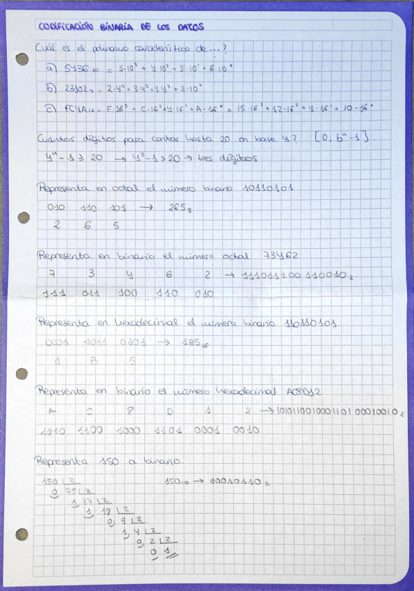 Miniatura del documento Apuntes.pdf