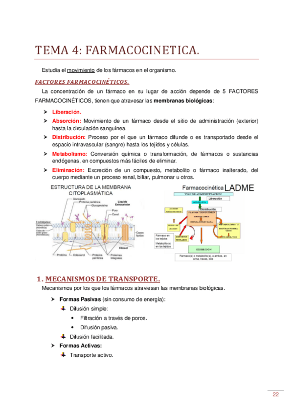 Miniatura del documento TEMA 4 - Farmacocinetica.pdf
