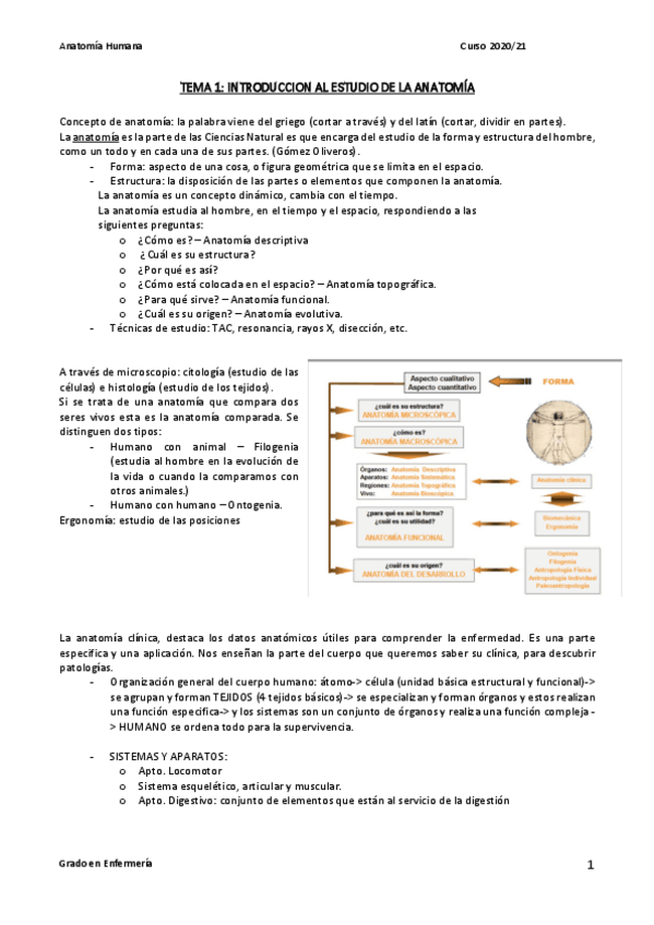 Miniatura del documento TEMA-1-al-4-ANATOMIA.pdf