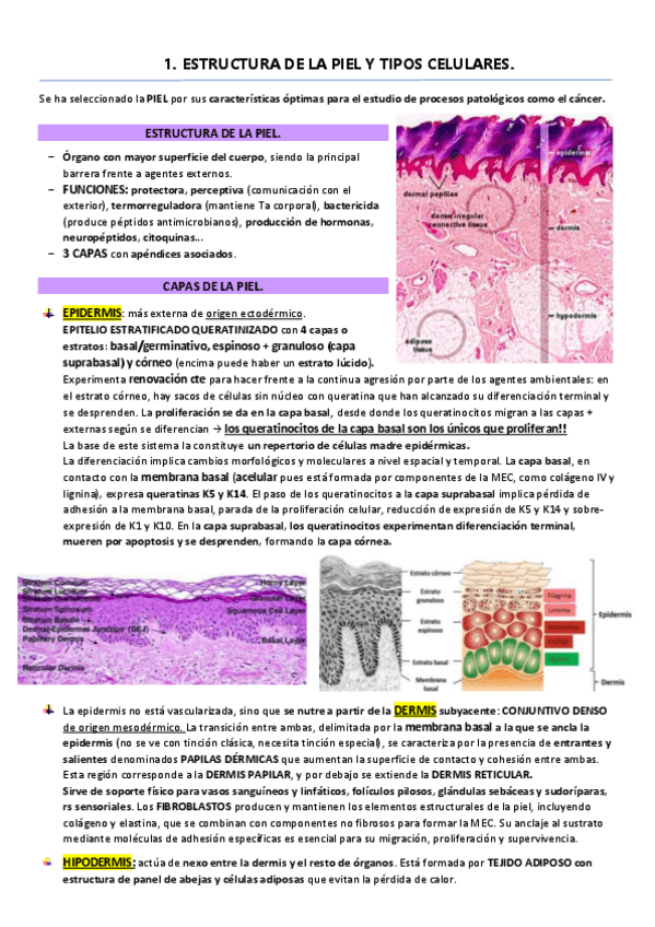Miniatura del documento Parte-III.pdf