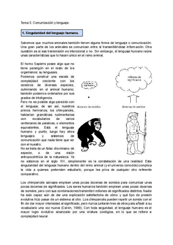 Miniatura del documento Tema-5.pdf