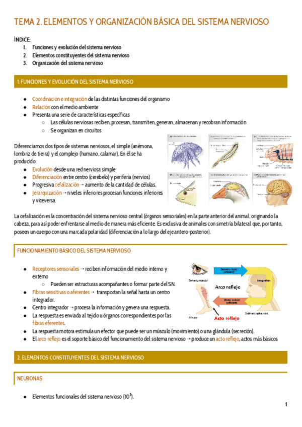 Miniatura del documento TEMA-2.pdf