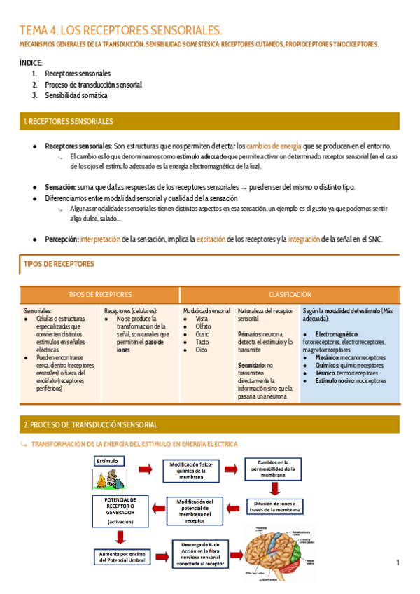 Miniatura del documento TEMA-4.pdf