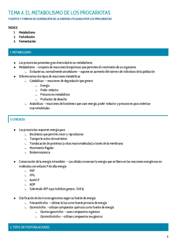 Miniatura del documento TEMA-4.pdf
