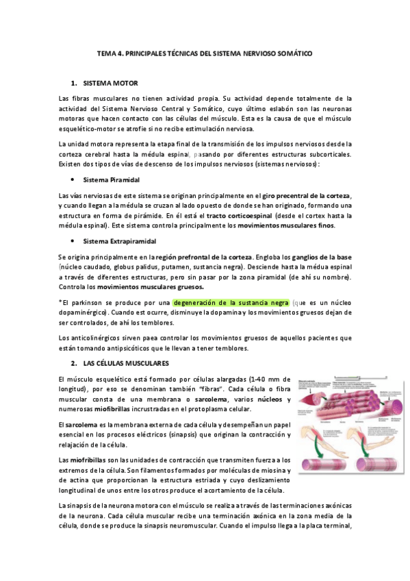 Miniatura del documento TEMA-4.pdf