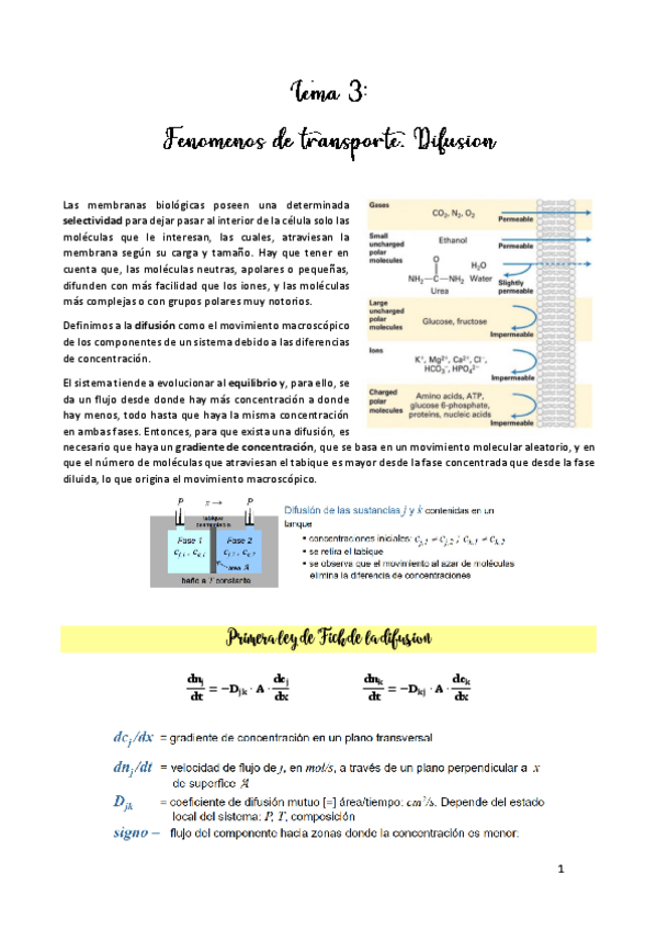 Miniatura del documento TEMA-3.pdf