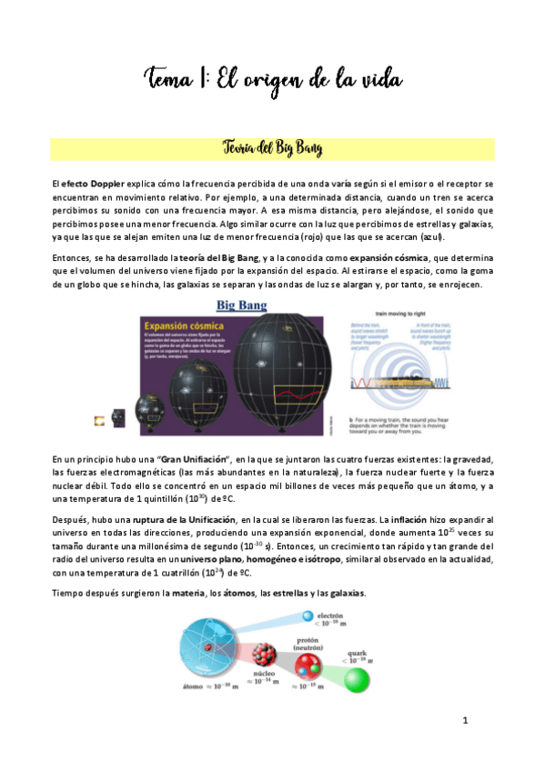 Miniatura del documento TEMA-1.pdf