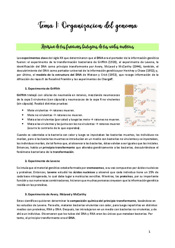 Miniatura del documento TEMA-1.pdf