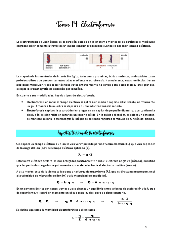 Miniatura del documento TEMA-14.pdf