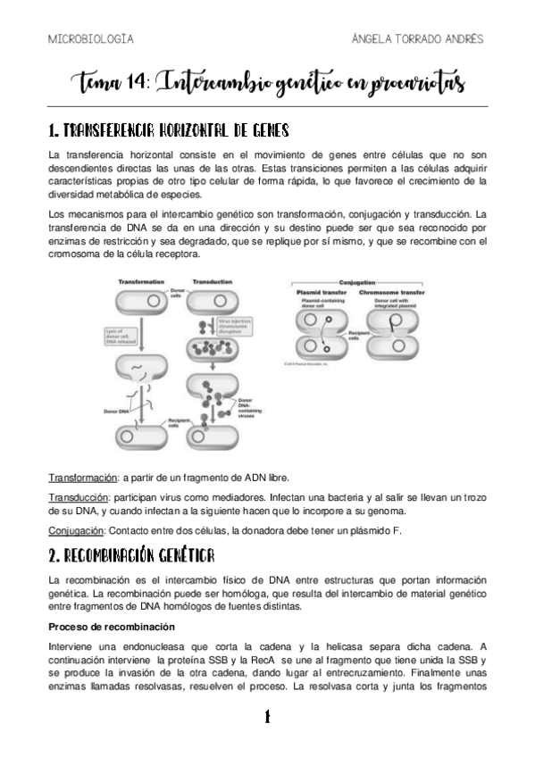 Miniatura del documento MICROBIOLOGIA-TEMA-14.pdf