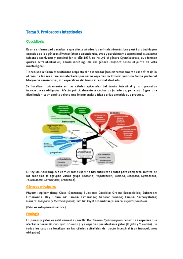 Miniatura del documento Tema-3.pdf