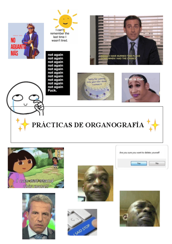 Miniatura del documento PRACTICAS-DE-ORGANOGRAFIA.pdf