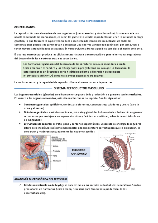 Miniatura del documento FISIOLOGIA-DEL-SISTEMA-REPRODUCTOR.pdf