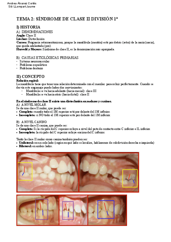 Miniatura del documento Tema-2-ORTO-IV.pdf