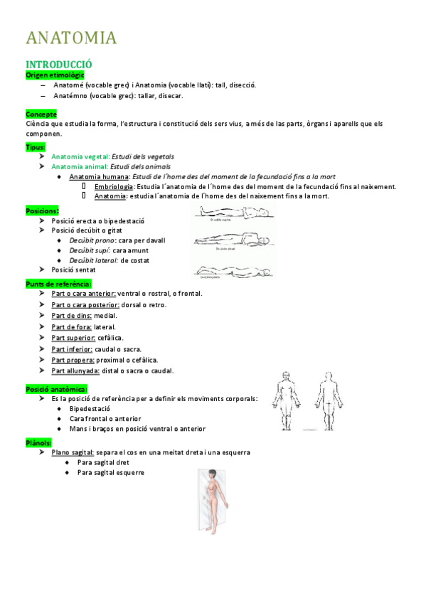 Miniatura del documento APUNTS.pdf