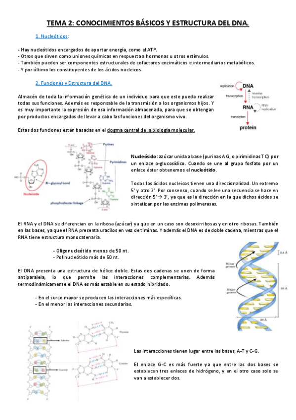 Miniatura del documento Tema 1-5.pdf