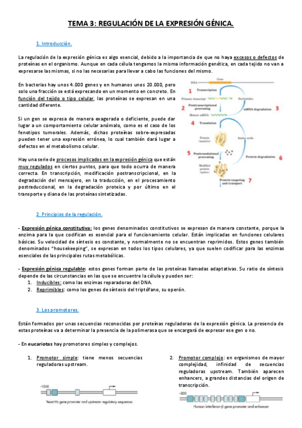 Miniatura del documento Tema 6.pdf
