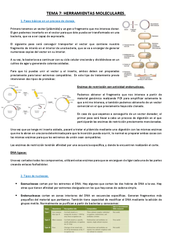 Miniatura del documento Tema 7.pdf