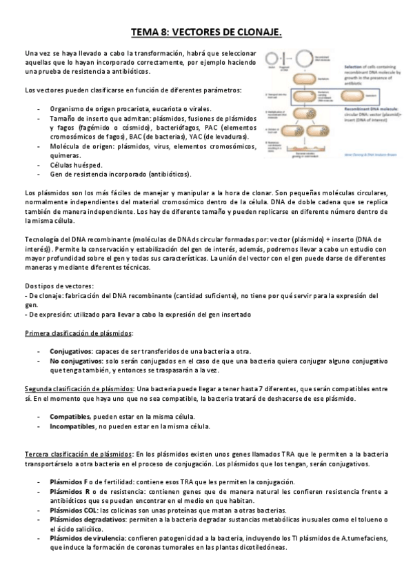 Miniatura del documento Tema 8.pdf
