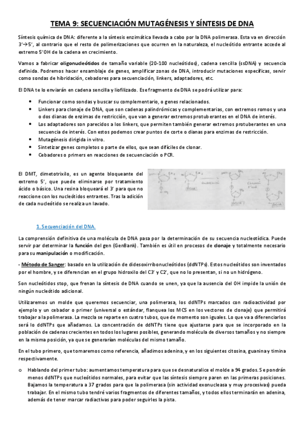 Miniatura del documento Tema 9.pdf