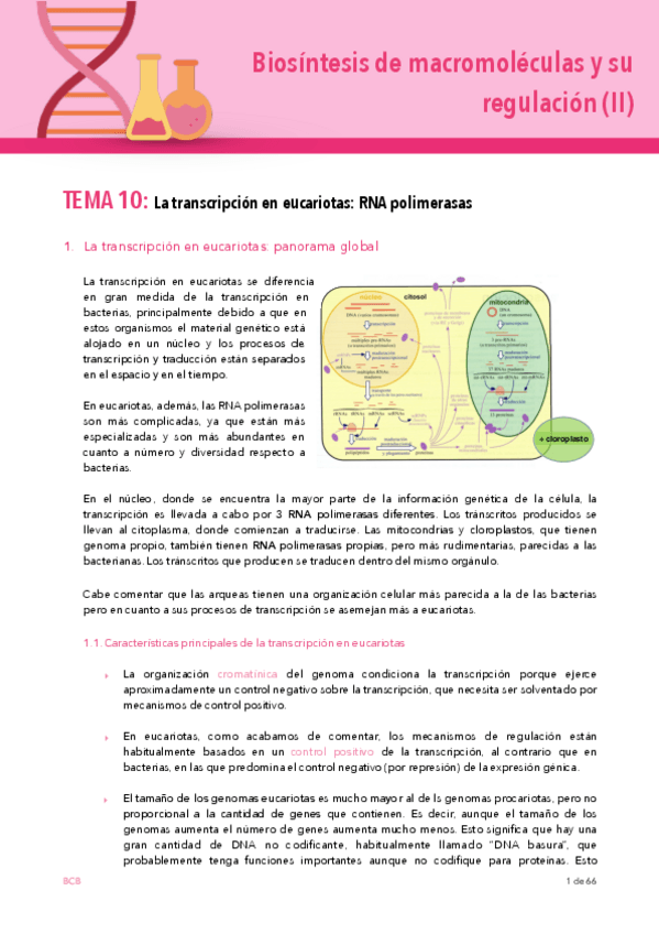 Miniatura del documento BIOSINTESIS-2-CUATRI-T10-11.pdf