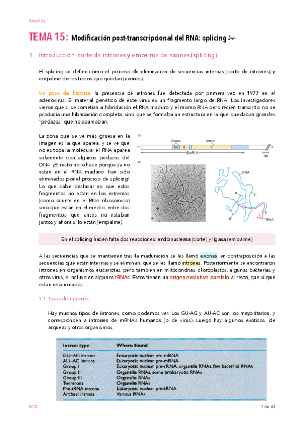 Miniatura del documento BIOSINTESIS-T15-SPLICING-WUOLA.pdf