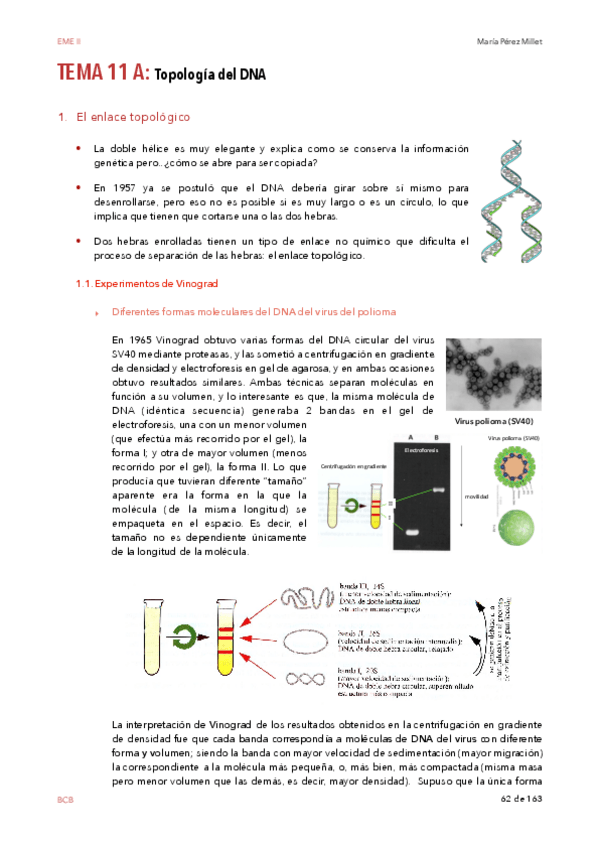 Miniatura del documento EME-II-wuola-II.pdf