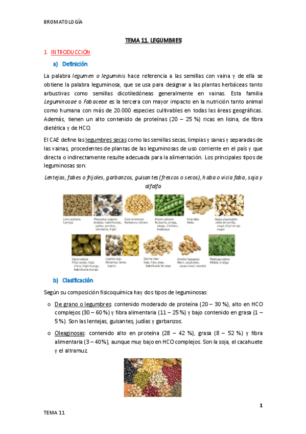 Miniatura del documento Tema-11.pdf