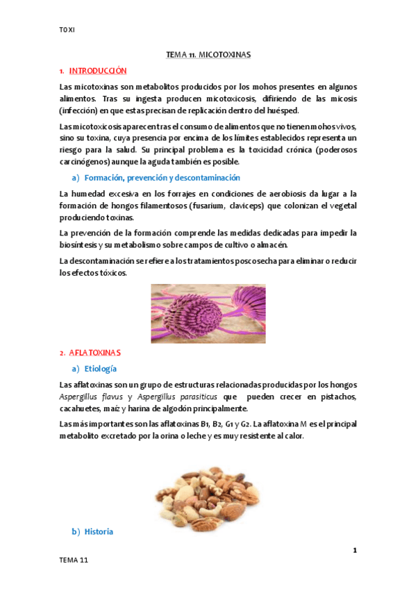 Miniatura del documento Tema-11.pdf