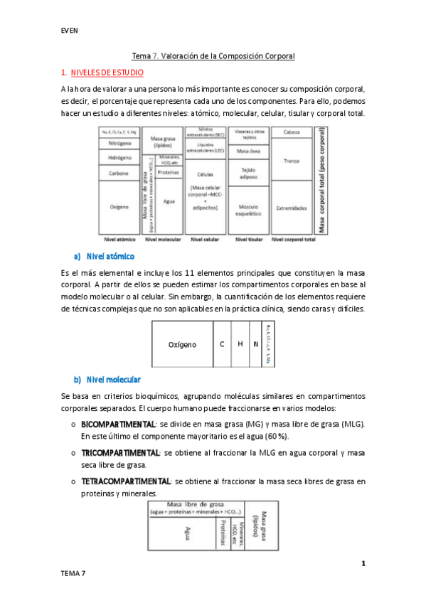 Miniatura del documento Tema-7.pdf