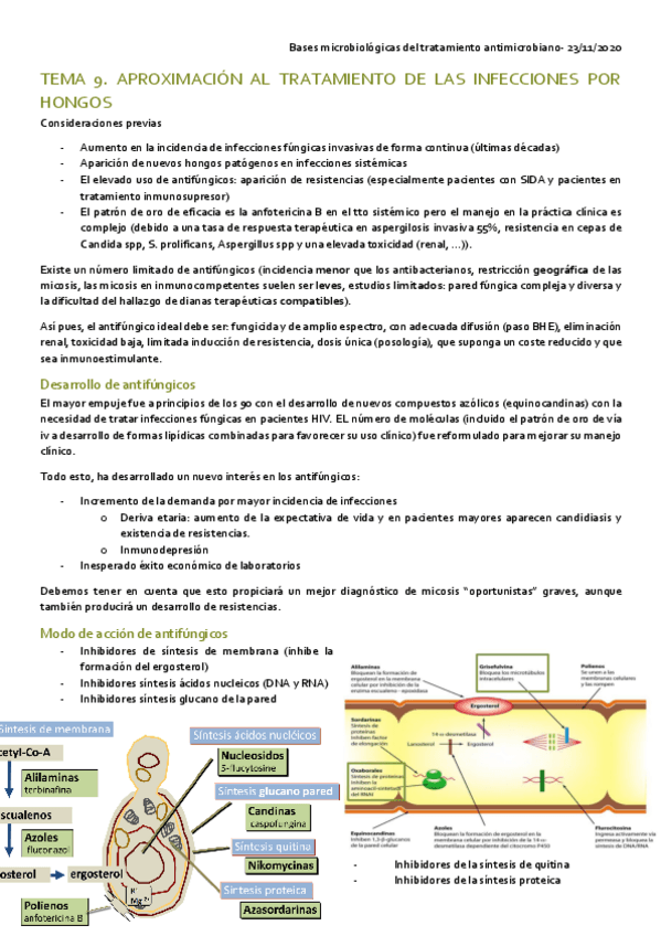 Miniatura del documento TEMA-9.pdf
