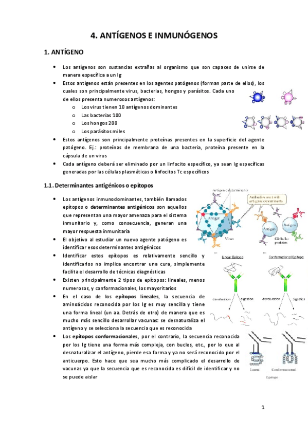 Miniatura del documento 4.
