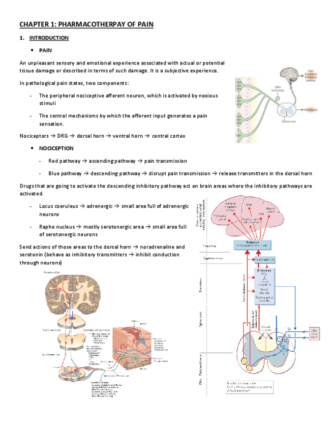 Miniatura del documento CHAPTER-1.pdf