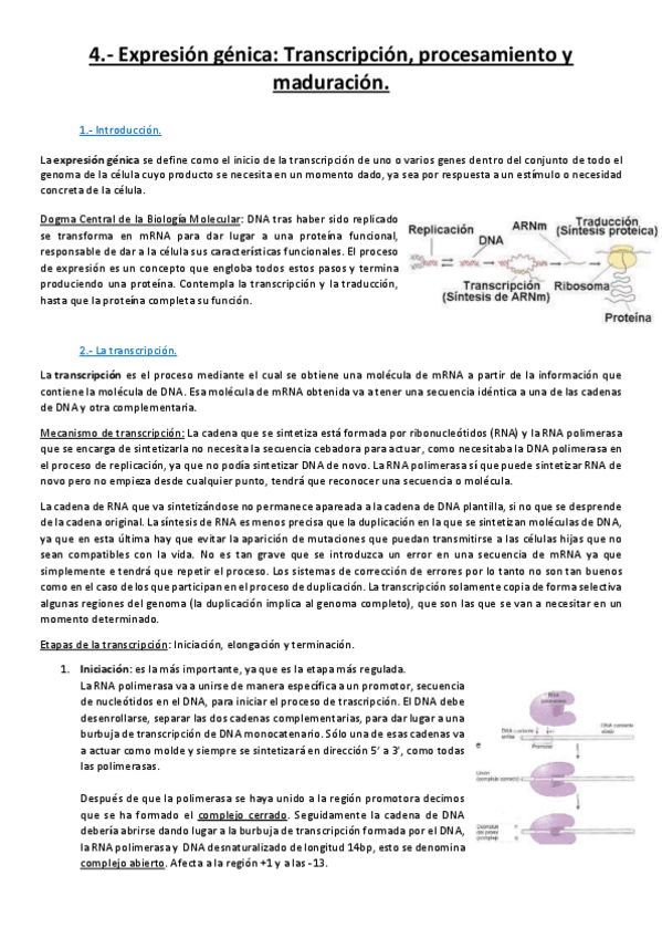 Miniatura del documento Tema 4.pdf