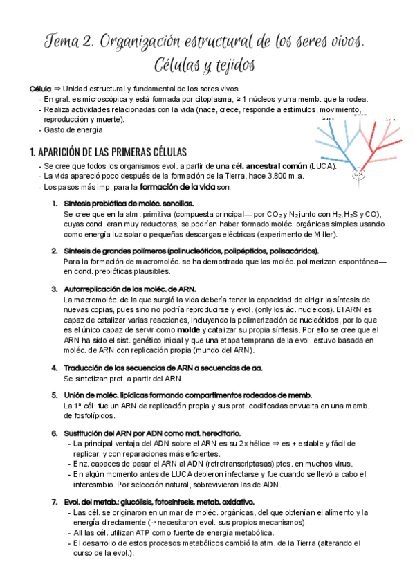 Miniatura del documento Tema-2.pdf