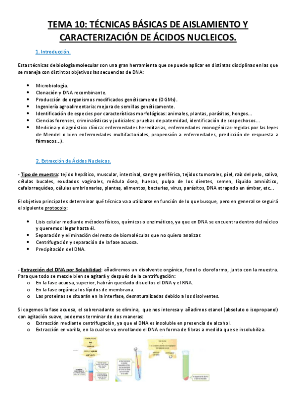 Miniatura del documento Tema 10.pdf