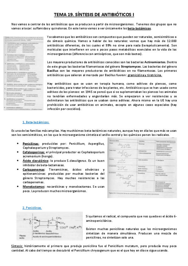 Miniatura del documento Tema 19.pdf