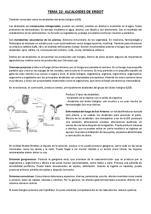 Miniatura del documento Tema 22.pdf