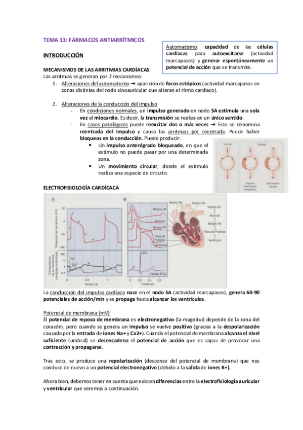 Miniatura del documento TEMA-13-FARMA-II.pdf