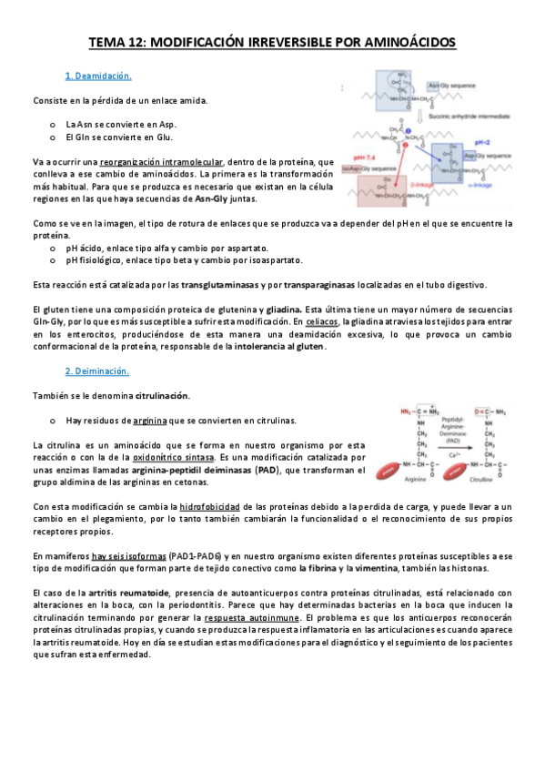 Miniatura del documento Tema 12.pdf
