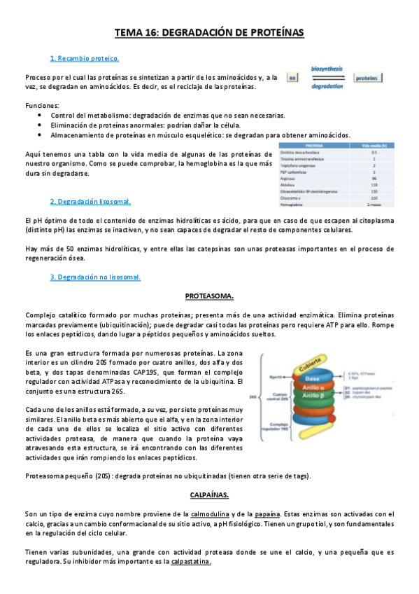 Miniatura del documento Tema 16.pdf